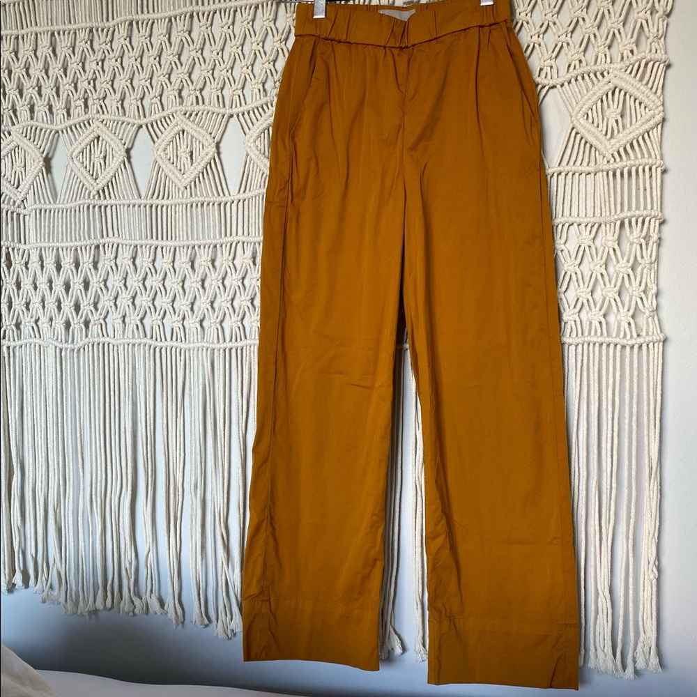 Everlane “The Easy Straight Leg Chino” in Amber
